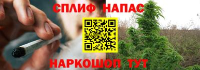 мет Дубна