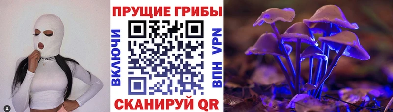 где купить наркоту  Ногинск  darknet Telegram  Псилоцибиновые грибы мицелий 