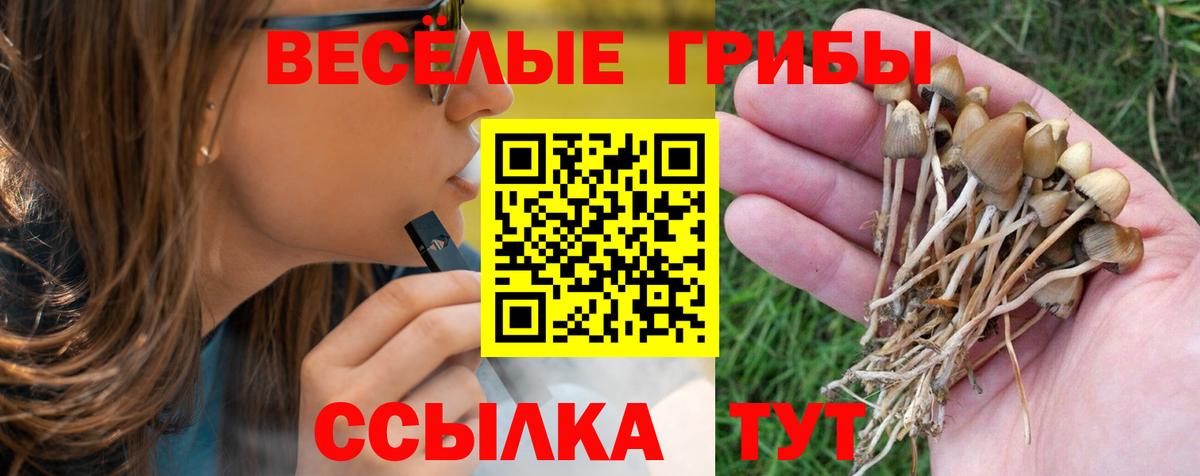 Псилоцибиновые грибы мицелий Ногинск